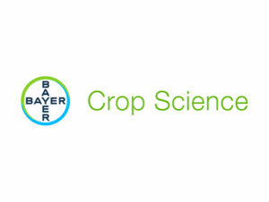 Bayer