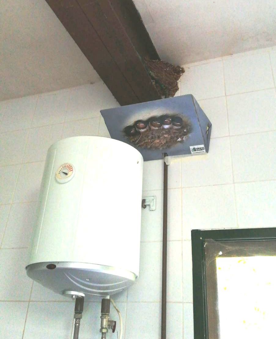BirdsClean-S Modelo 3
