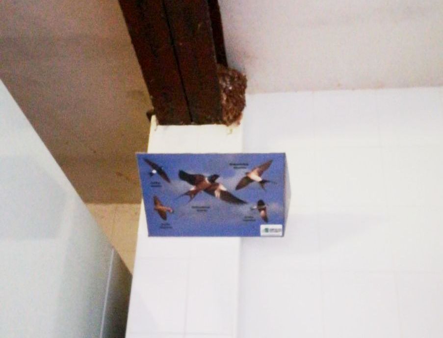 BirdsClean-S Modelo 5