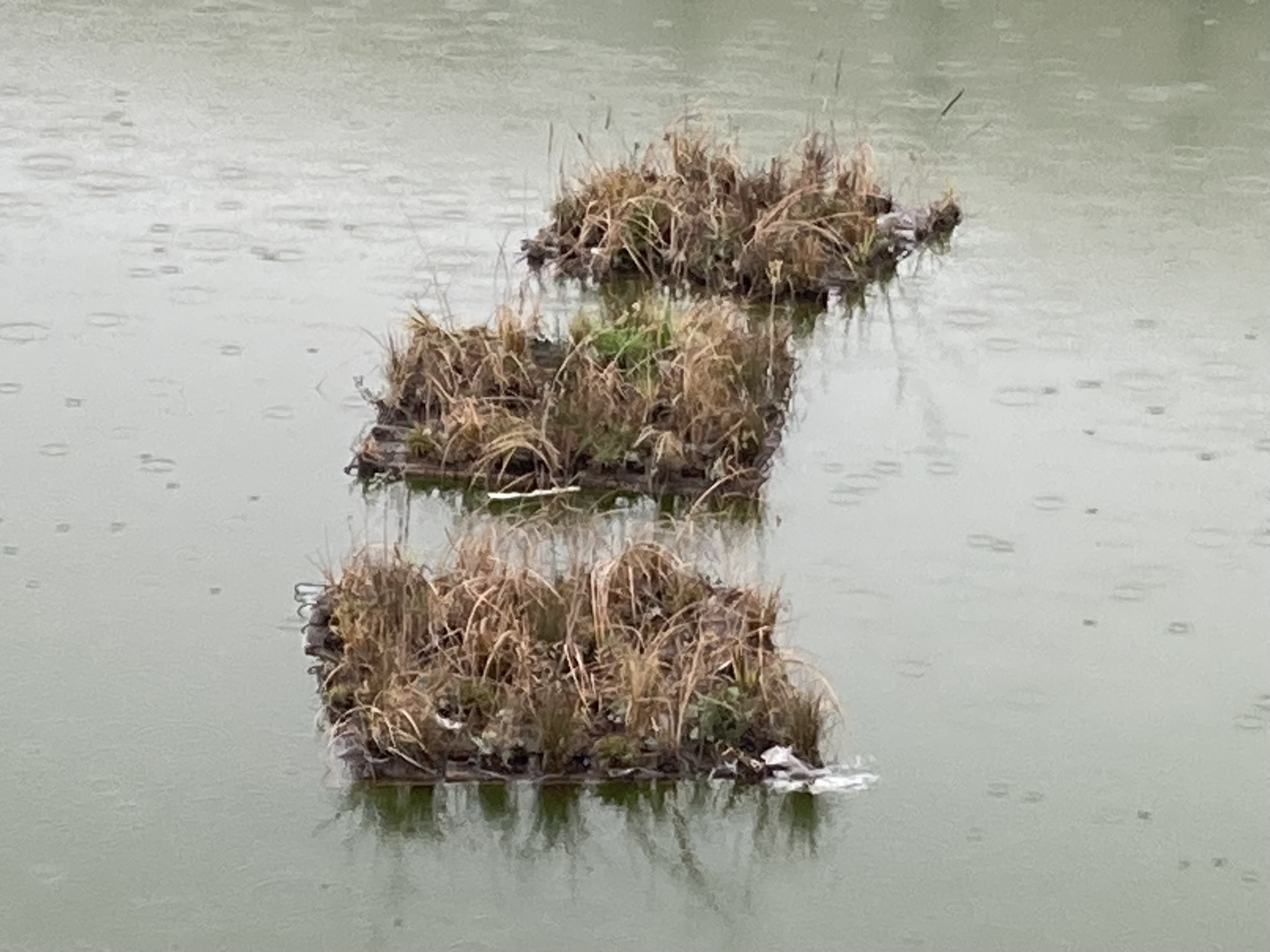 Isla para salvamento de fauna en balsa