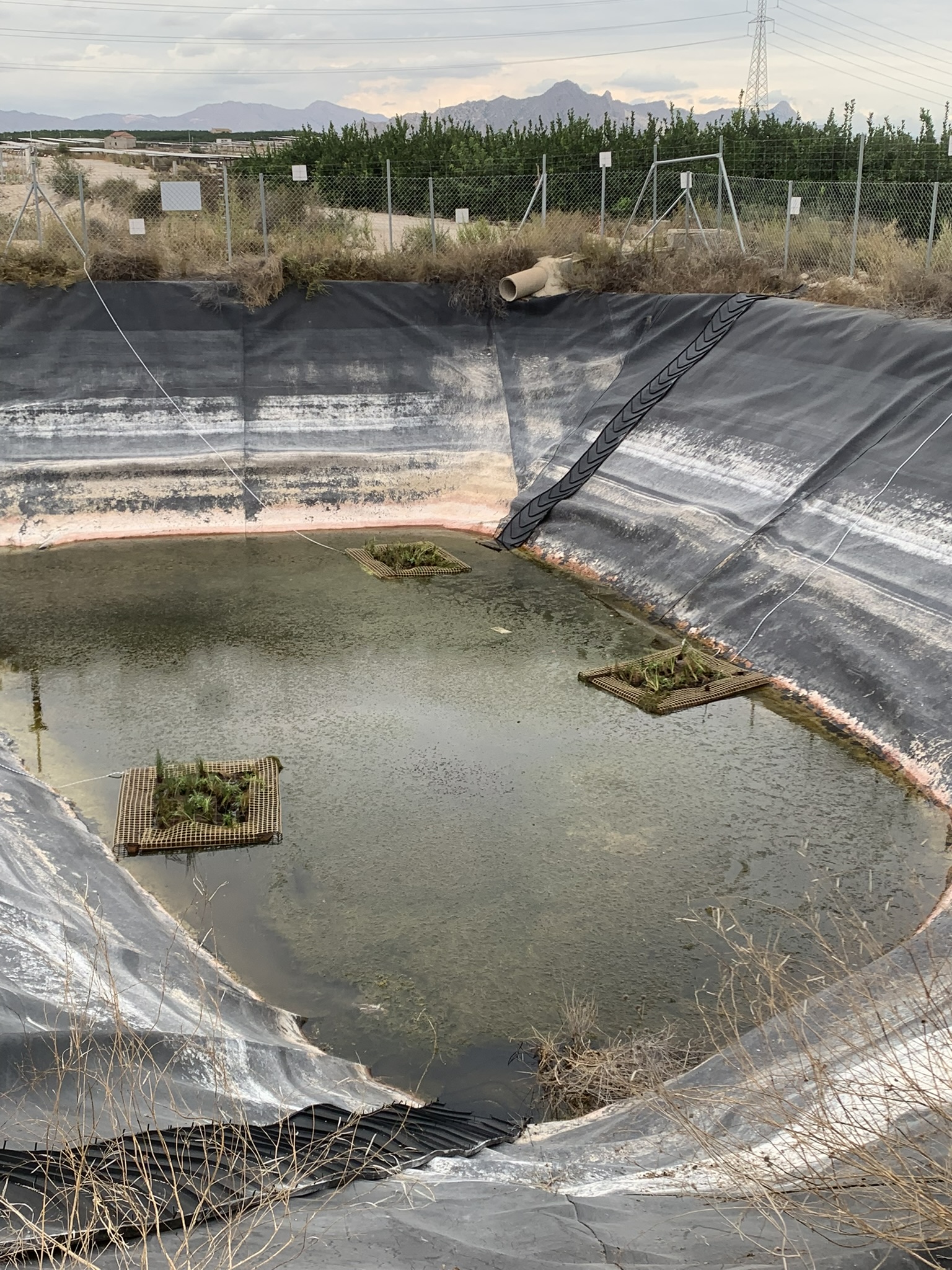 Islas para mejora de biodiversidad en embalse de riego