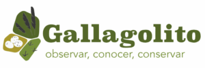 gallagolito
